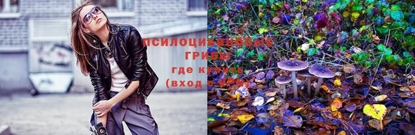 jwh Алексеевка