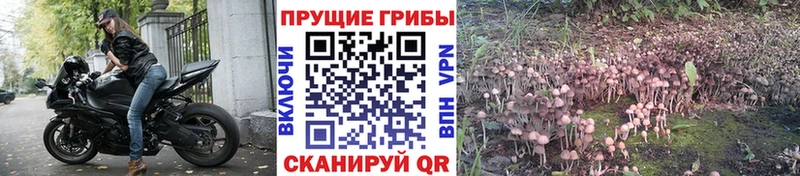 Галлюциногенные грибы MAGIC MUSHROOMS  где можно купить   Ливны 